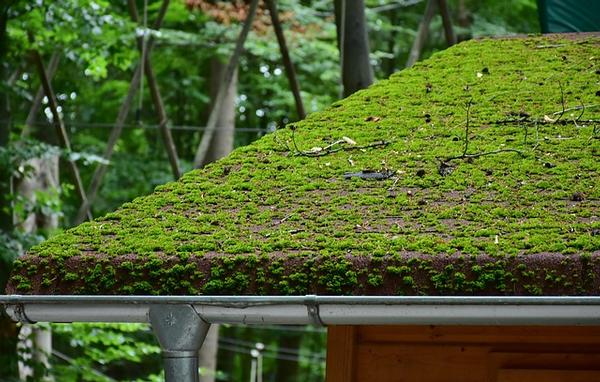 roof-2490864_640
